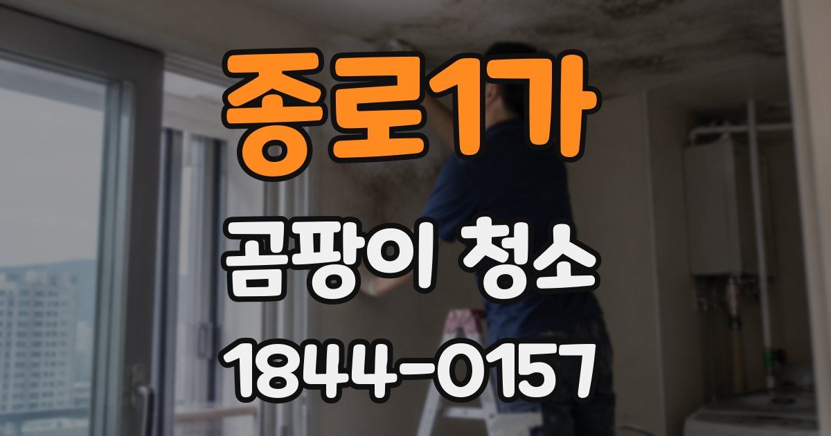 종로1가 곰팡이 청소