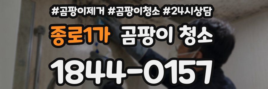 종로1가 곰팡이 청소
