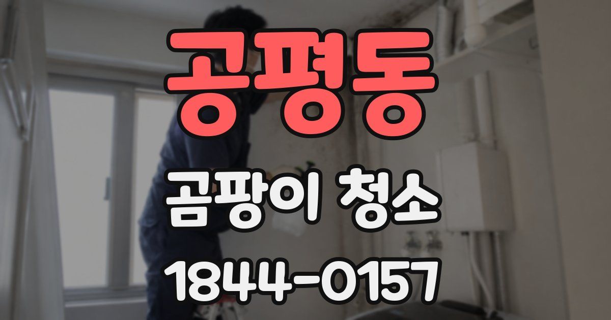 공평동 곰팡이 청소