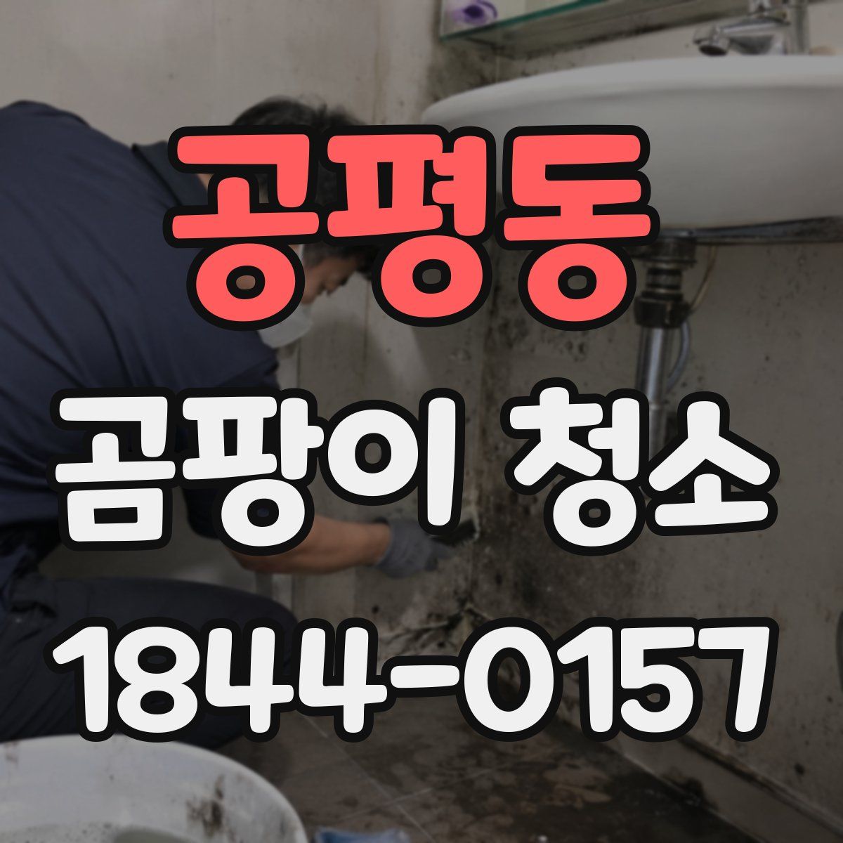 공평동 곰팡이 청소