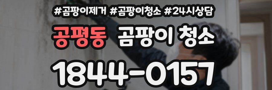 공평동 곰팡이 청소