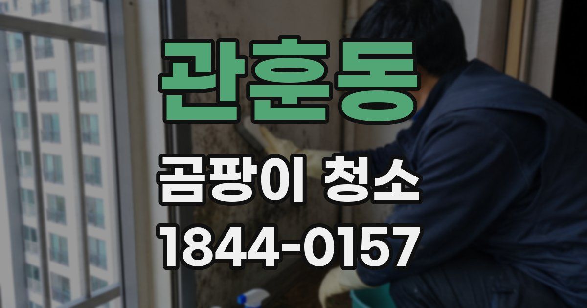 관훈동 곰팡이 청소