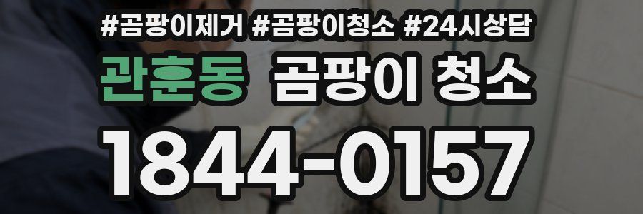 관훈동 곰팡이 청소