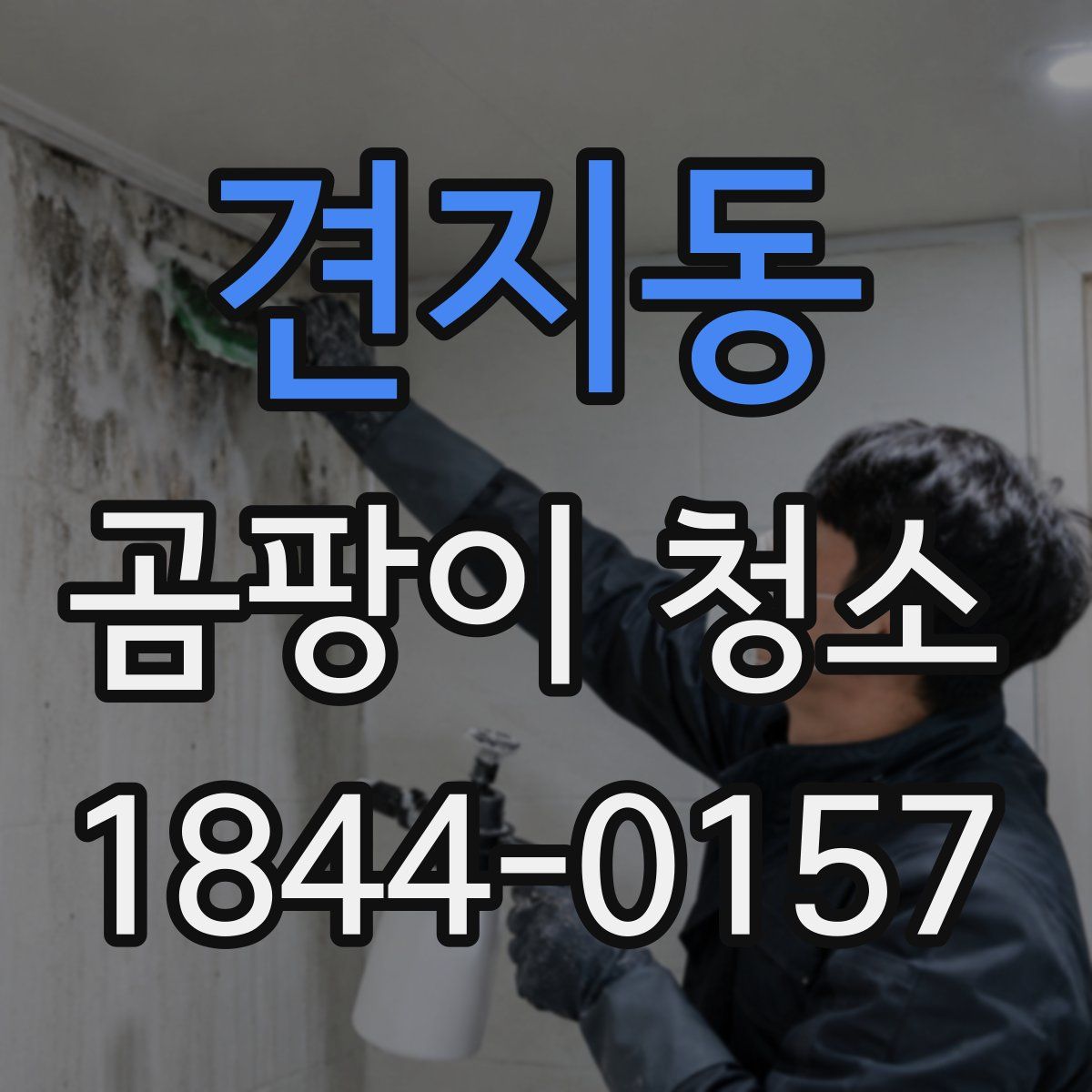 견지동 곰팡이 청소