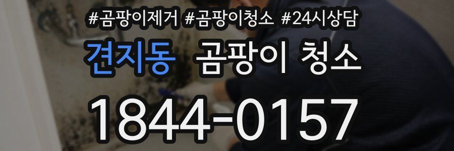 견지동 곰팡이 청소