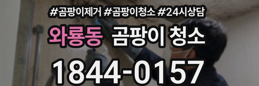 와룡동 곰팡이 청소