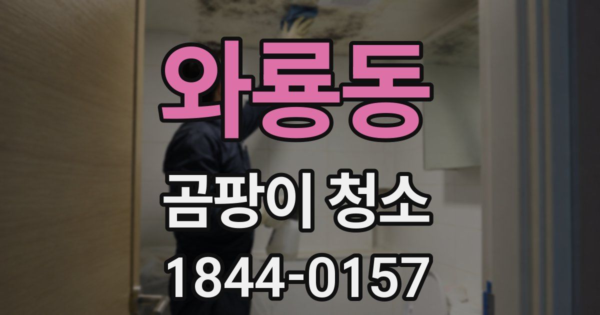 와룡동 곰팡이 청소