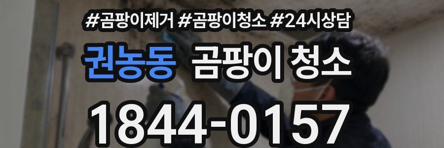 권농동 곰팡이 청소