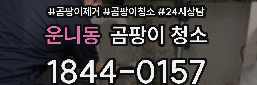 운니동 곰팡이 청소