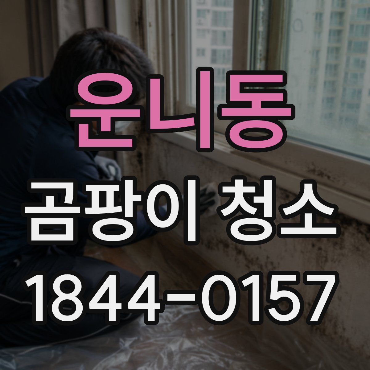 운니동 곰팡이 청소
