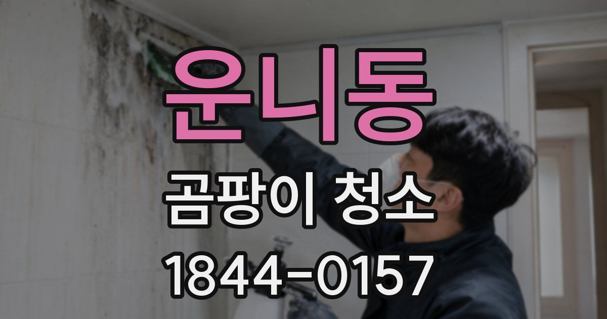 운니동 곰팡이 청소