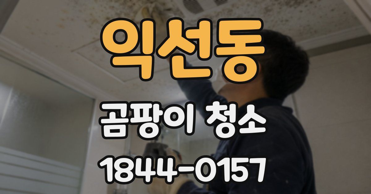 익선동 곰팡이 청소