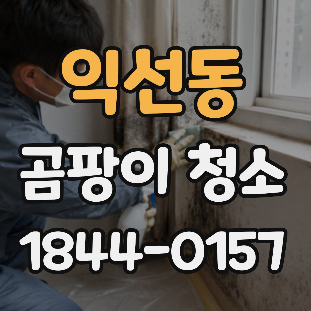 익선동 곰팡이 청소