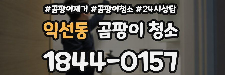 익선동 곰팡이 청소