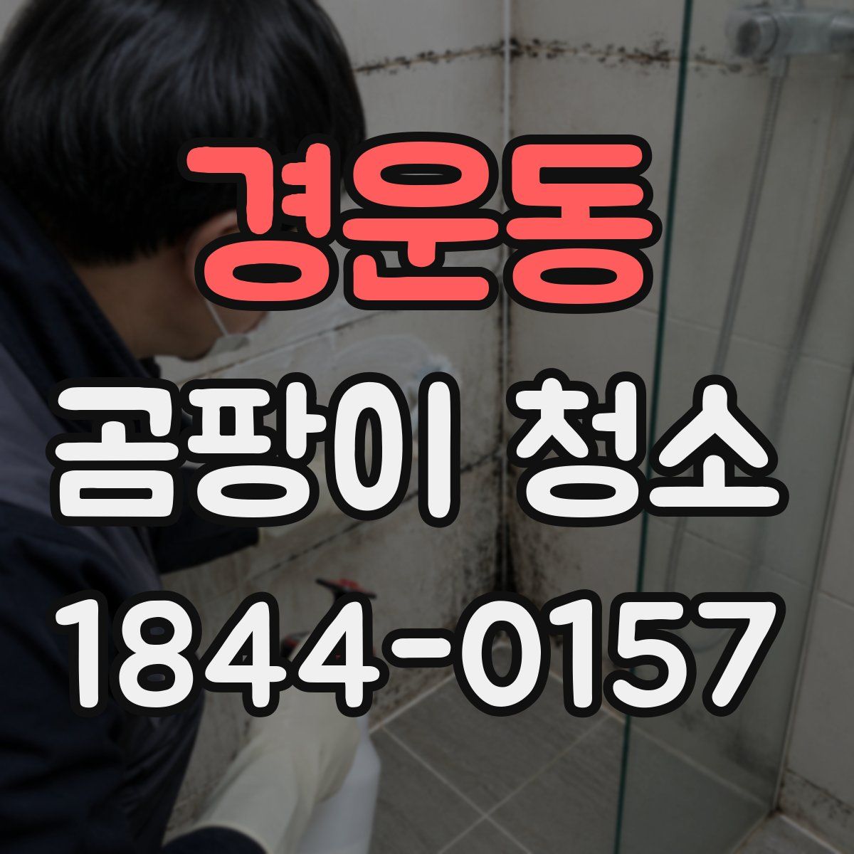 경운동 곰팡이 청소