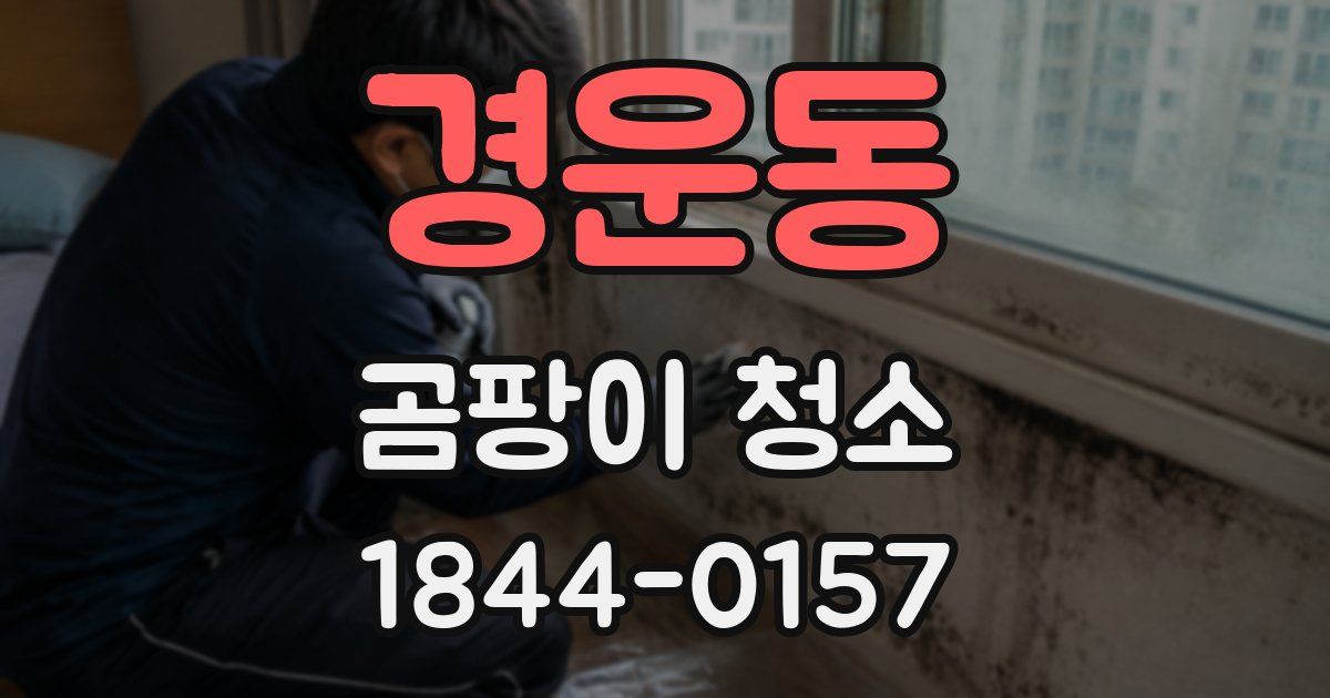 경운동 곰팡이 청소