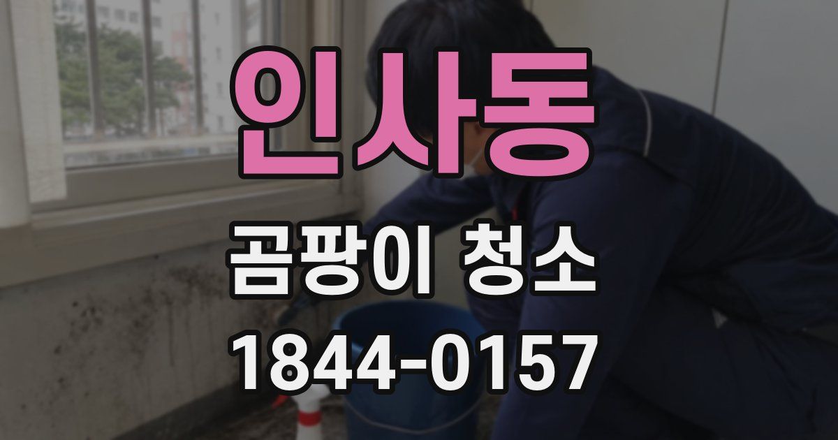 인사동 곰팡이 청소