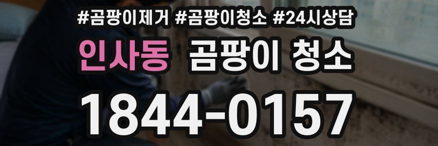 인사동 곰팡이 청소