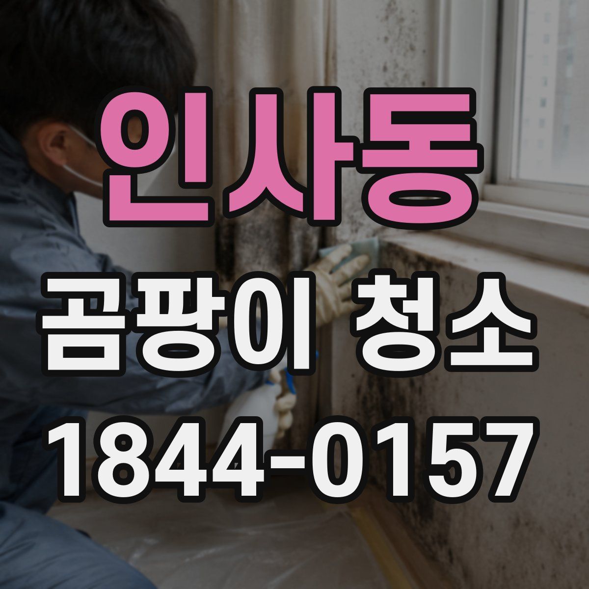 인사동 곰팡이 청소