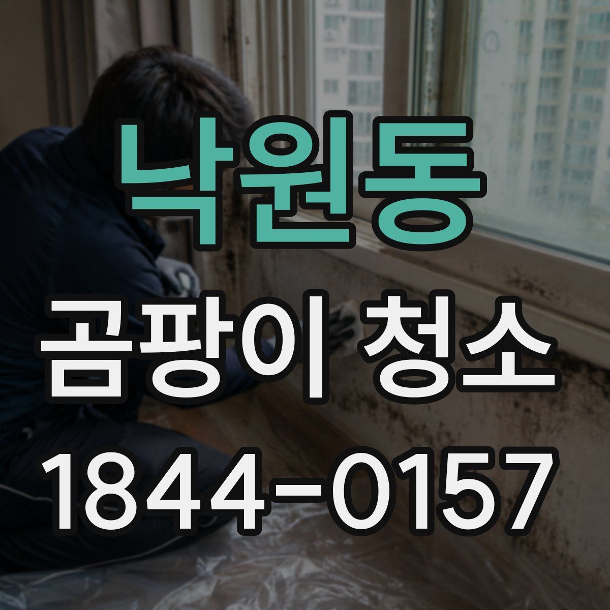낙원동 곰팡이 청소