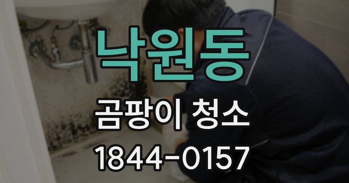 낙원동 곰팡이 청소