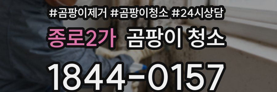 종로2가 곰팡이 청소