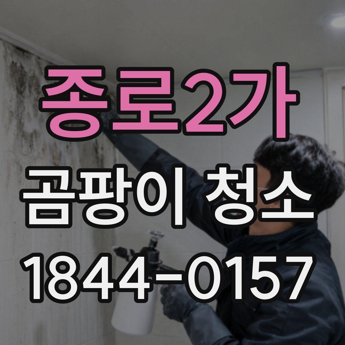 종로2가 곰팡이 청소