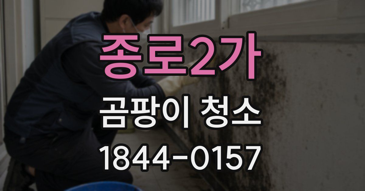종로2가 곰팡이 청소