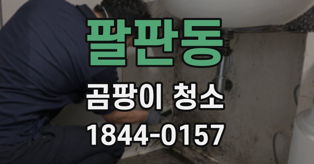 팔판동 곰팡이 청소