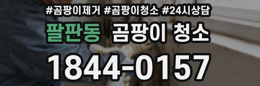 팔판동 곰팡이 청소