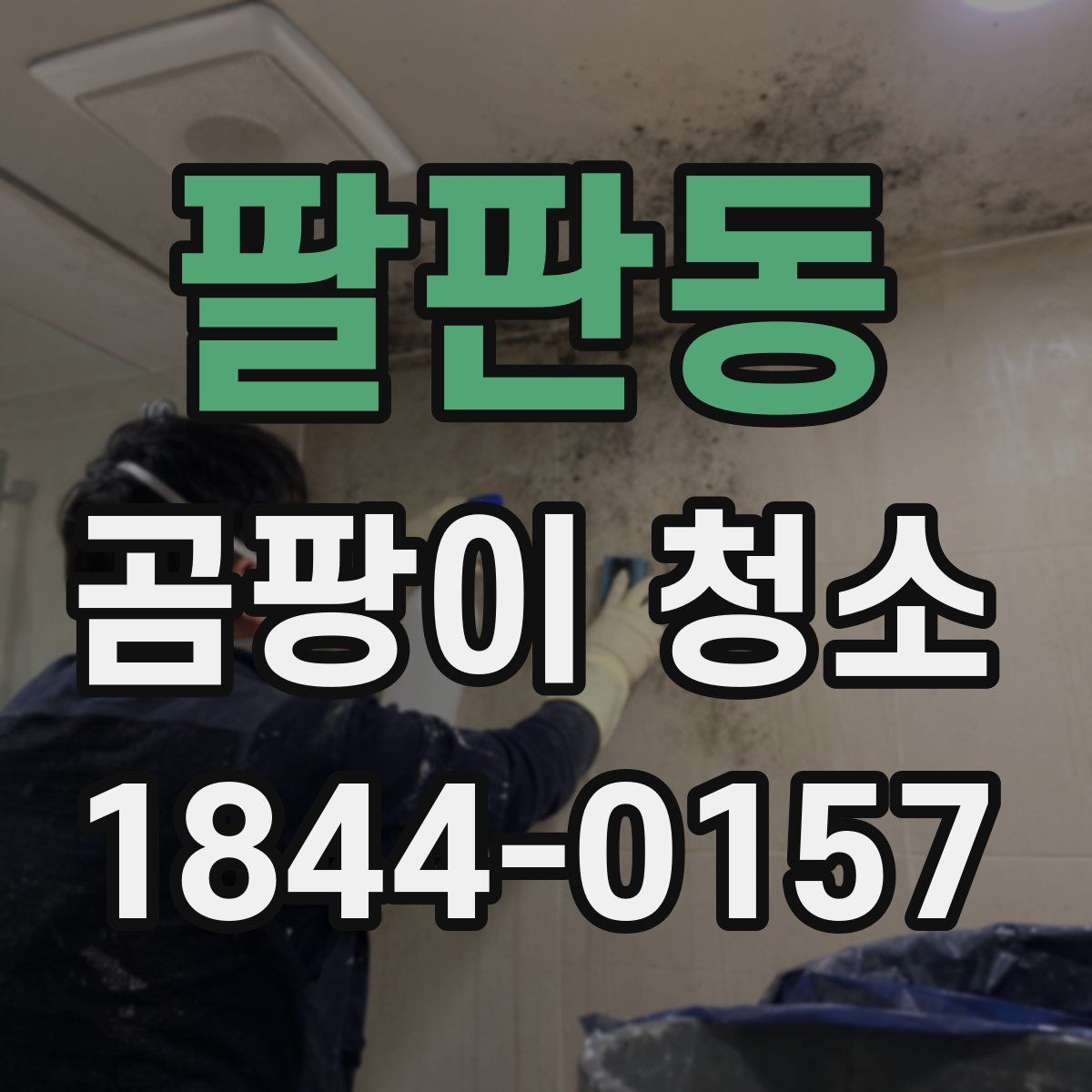 팔판동 곰팡이 청소