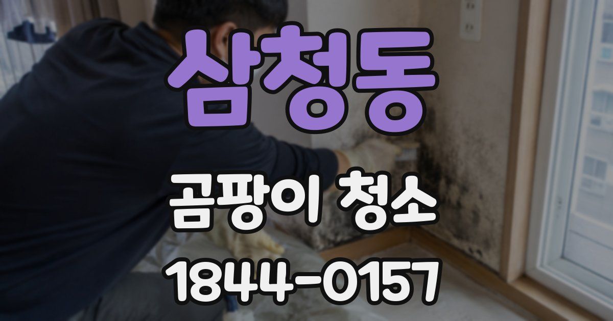 삼청동 곰팡이 청소