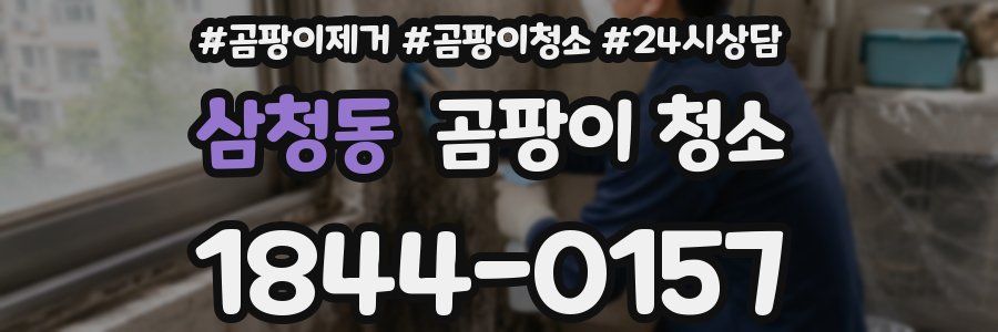 삼청동 곰팡이 청소