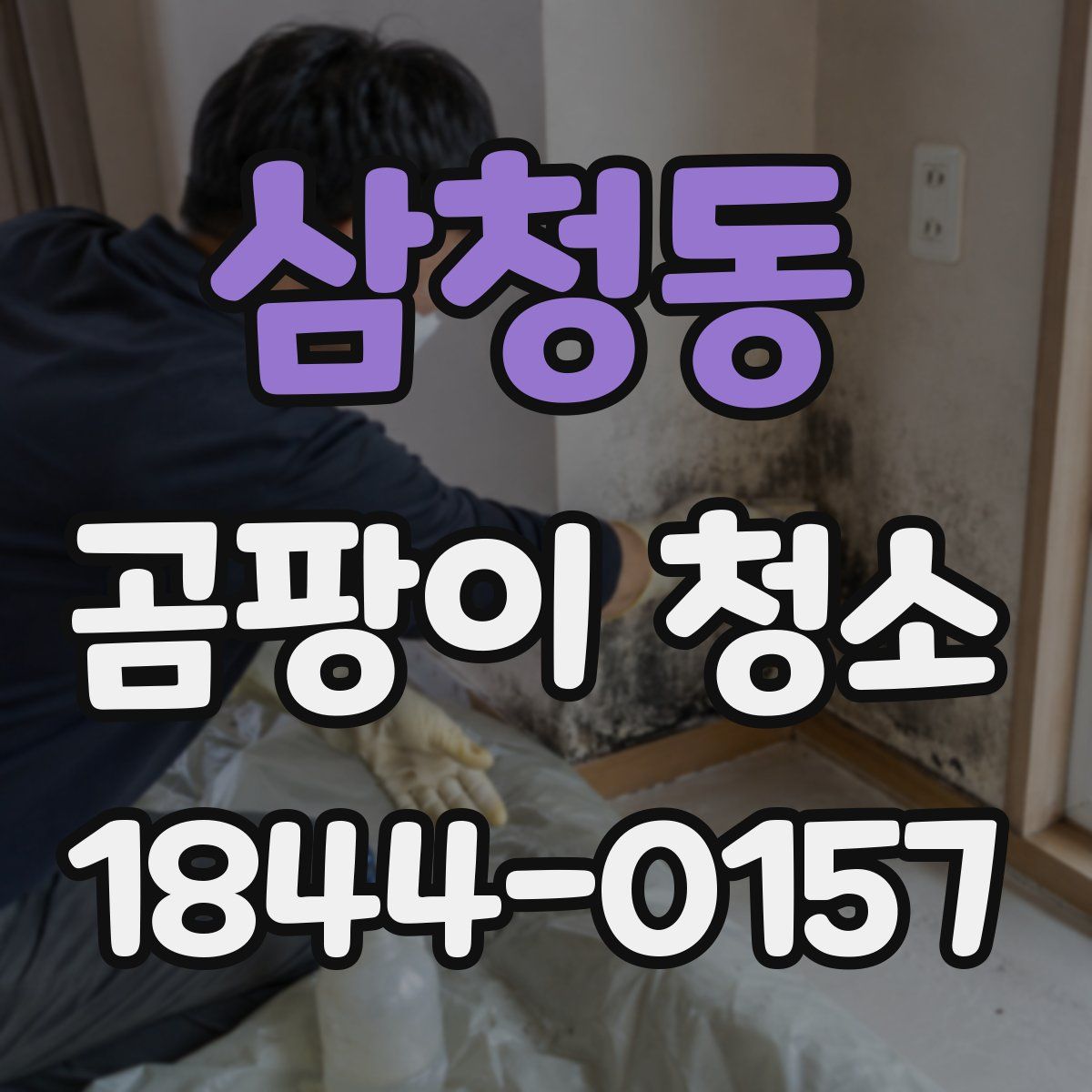 삼청동 곰팡이 청소