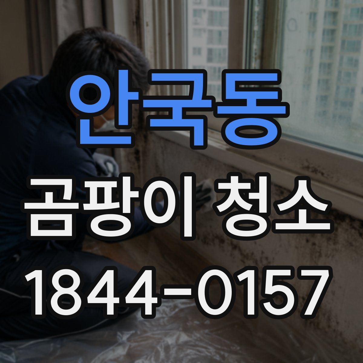 안국동 곰팡이 청소