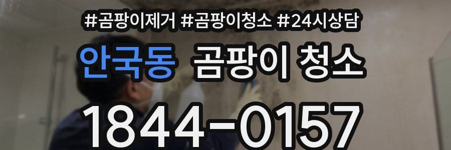 안국동 곰팡이 청소