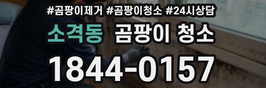 소격동 곰팡이 청소