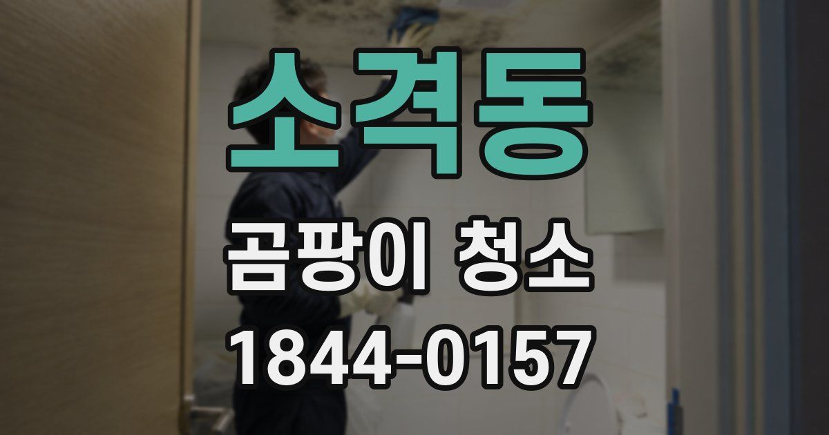 소격동 곰팡이 청소