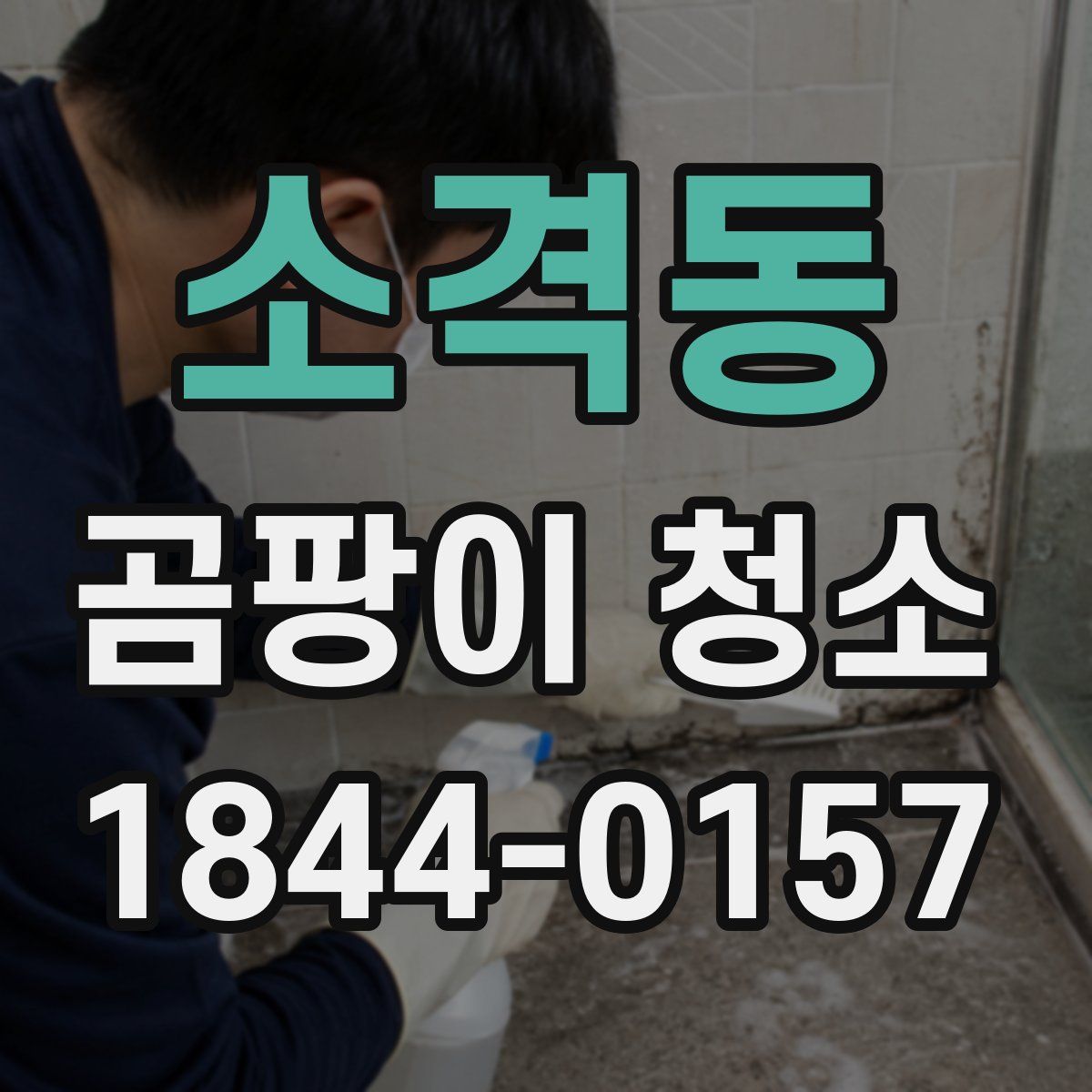 소격동 곰팡이 청소