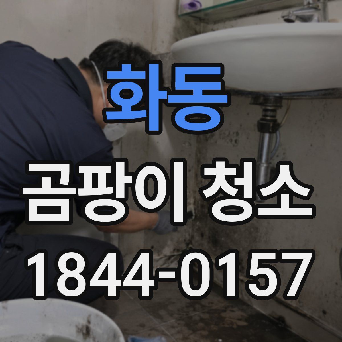 화동 곰팡이 청소
