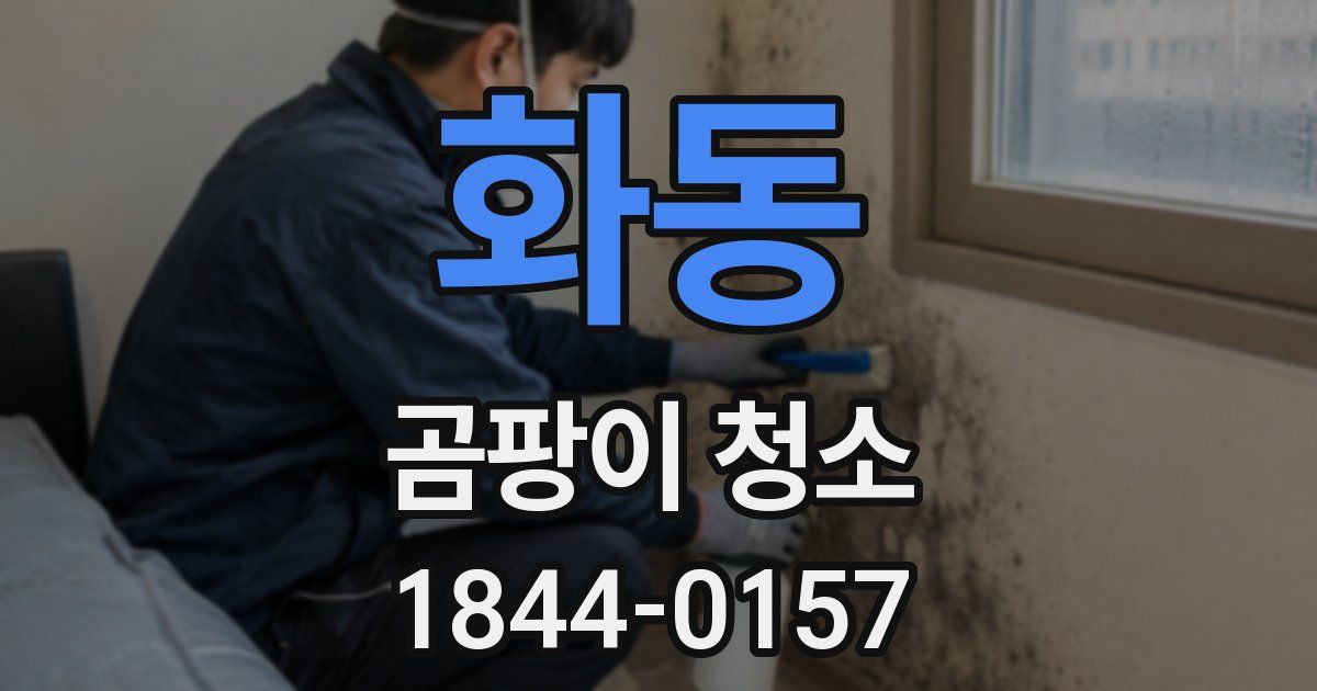 화동 곰팡이 청소