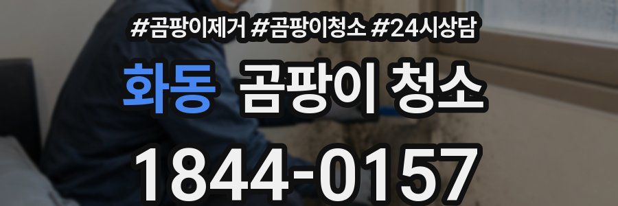 화동 곰팡이 청소