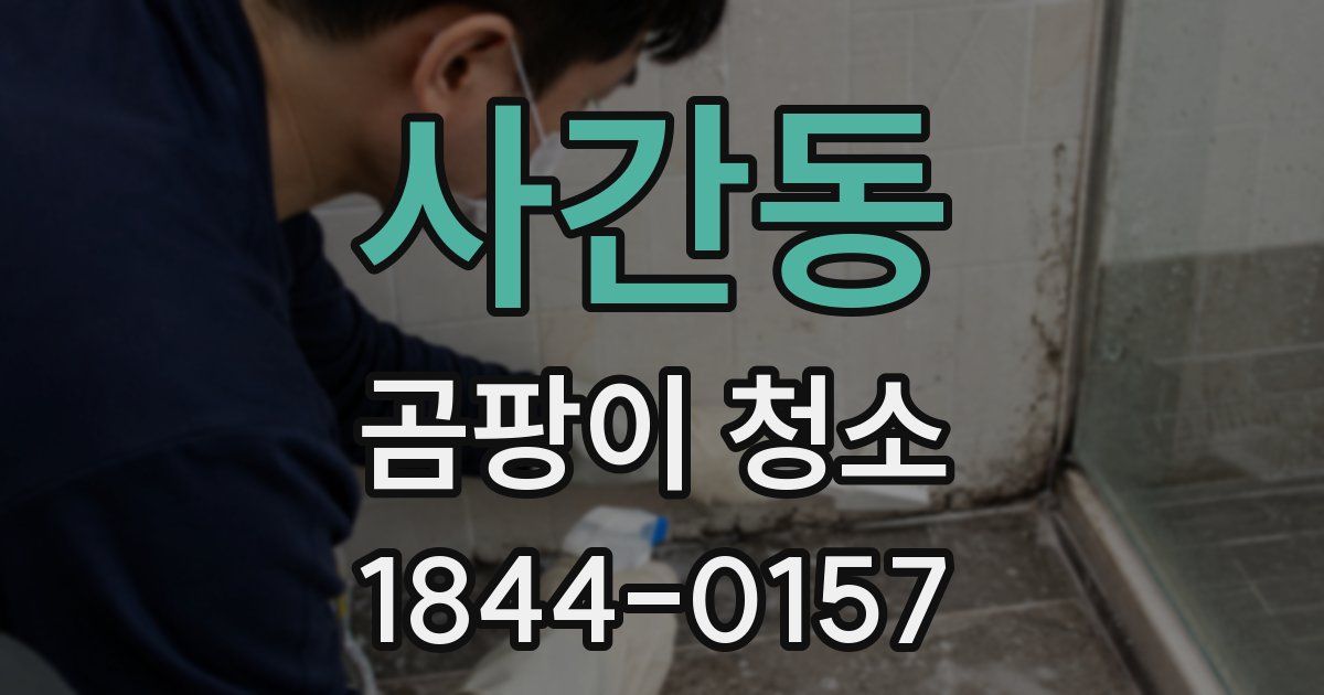 사간동 곰팡이 청소