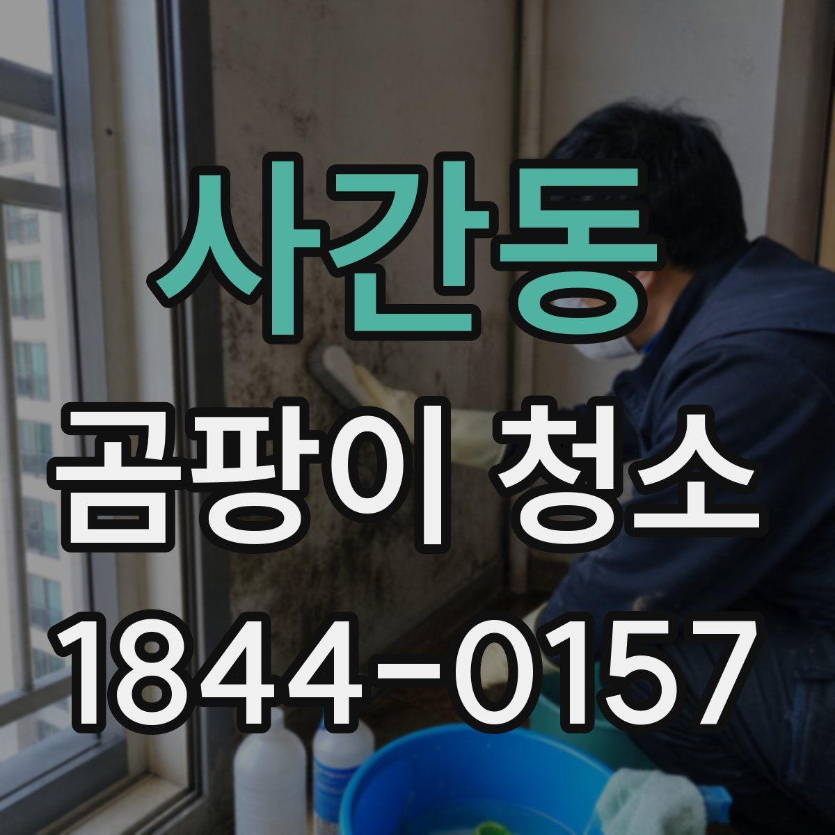 사간동 곰팡이 청소