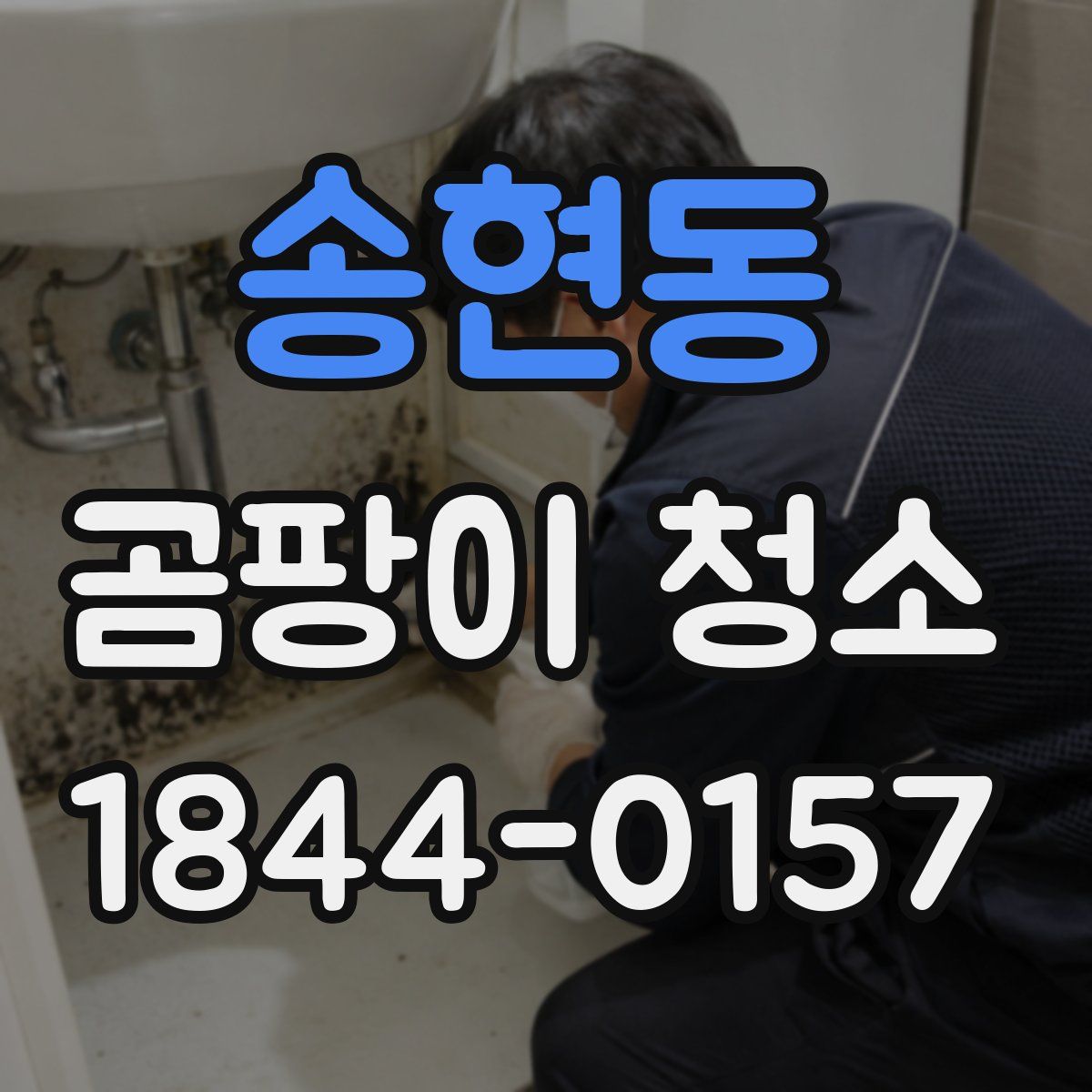 송현동 곰팡이 청소