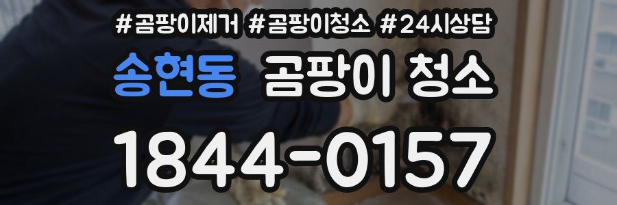 송현동 곰팡이 청소