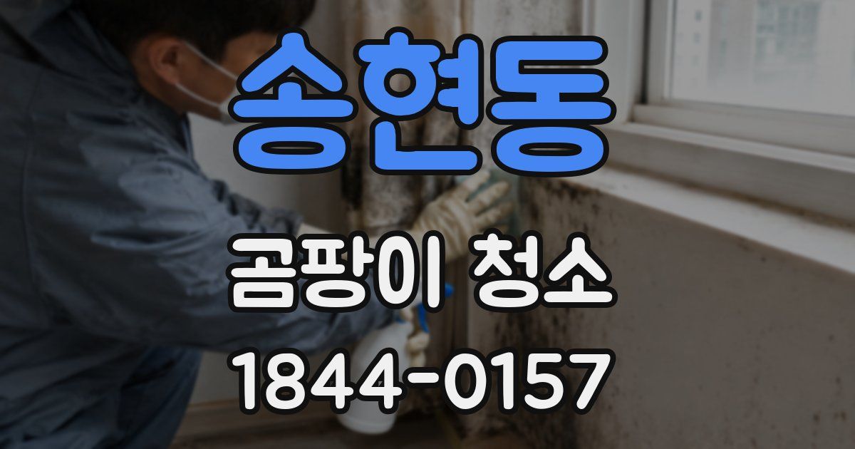 송현동 곰팡이 청소