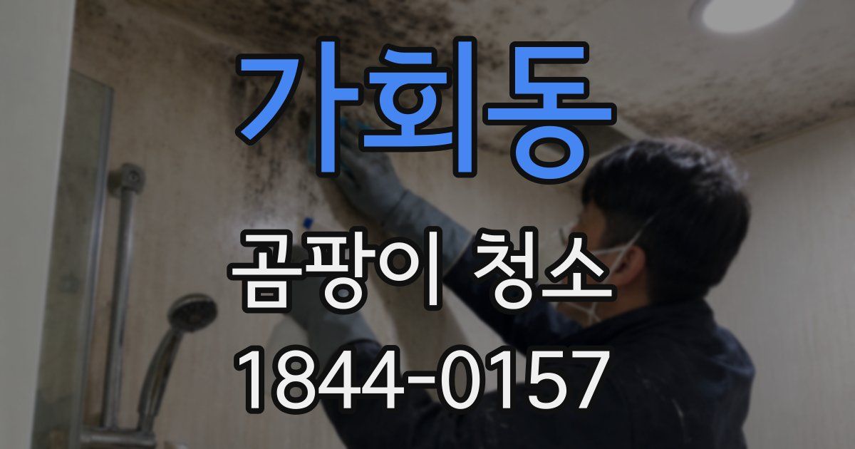 가회동 곰팡이 청소