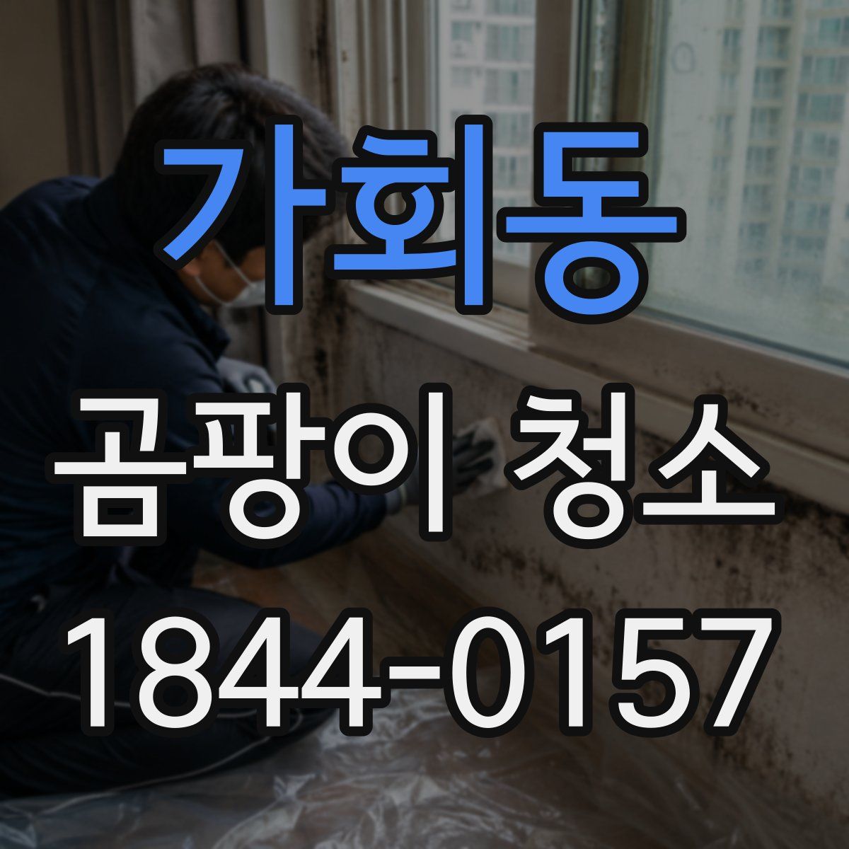 가회동 곰팡이 청소