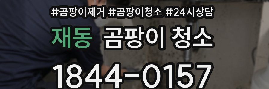 재동 곰팡이 청소
